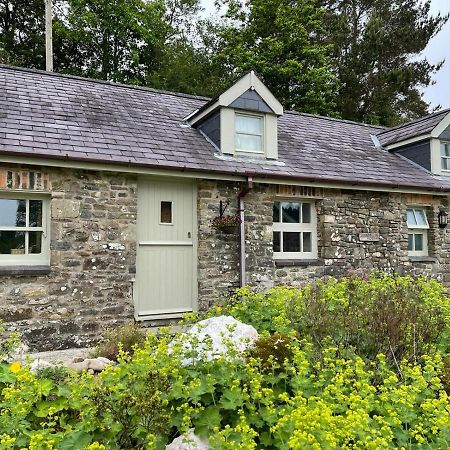 Crug Yr Eryr Isaf Villa Llandysul Dış mekan fotoğraf