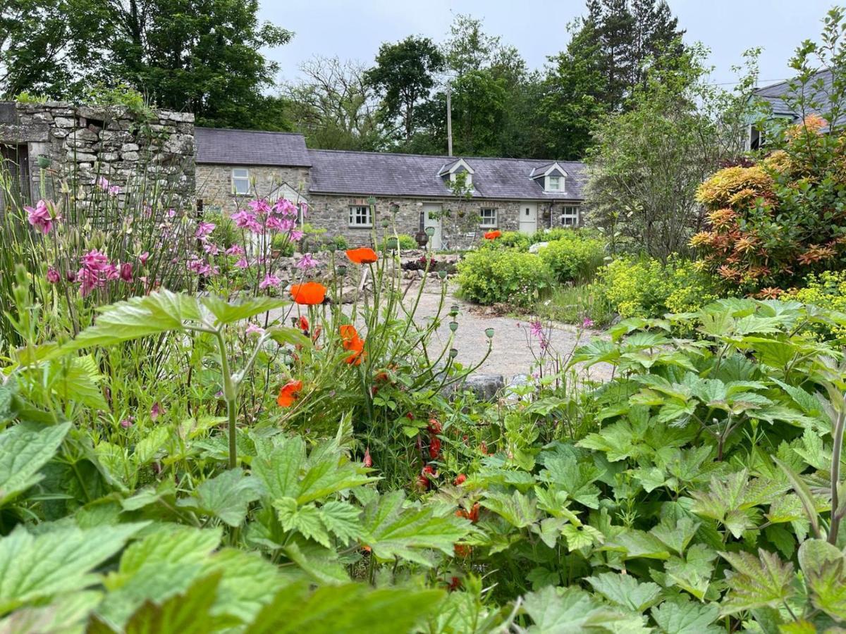 Crug Yr Eryr Isaf Villa Llandysul Dış mekan fotoğraf